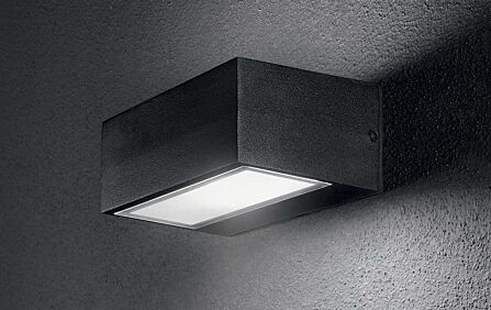 Twin AP1 Big Outdoor Wall Light