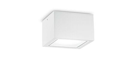 Techo PL1 Big Bianco Outdoor Wall Light 