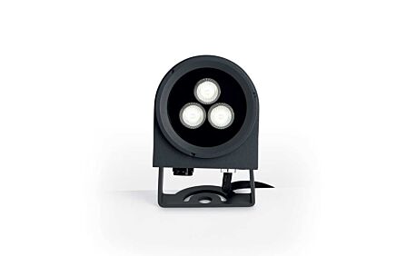 Ulex 08W Source Spotlight 