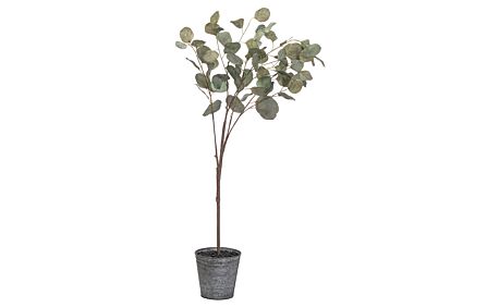 Hill Interiors Eucalyptus Tree In Metallic Pot