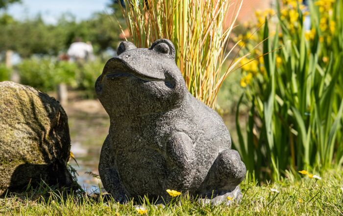 Hill Interiors Freddie The Frog Plant Pot Holder