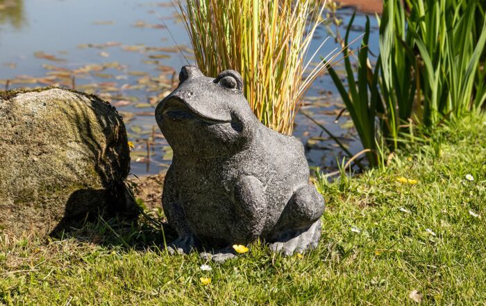 Hill Interiors Freddie The Frog Plant Pot Holder