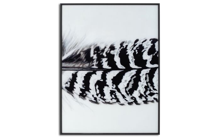 Hill Interiors Black Striped Feather Over 3 Black Glass Frames