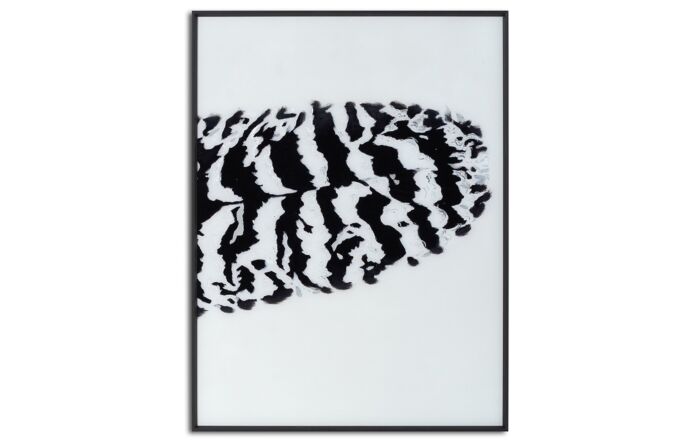 Hill Interiors Black Striped Feather Over 3 Black Glass Frames