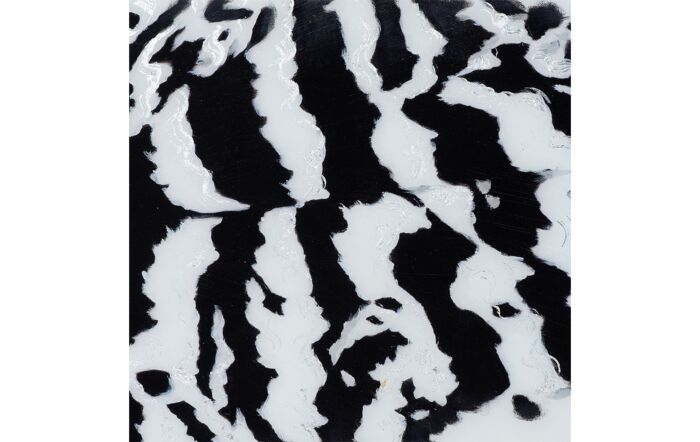 Hill Interiors Black Striped Feather Over 3 Black Glass Frames