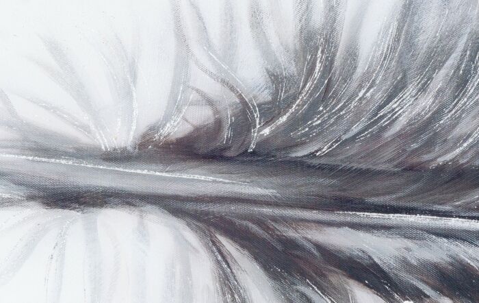 Hill Interiors Black Striped Feather Over 3 Black Glass Frames