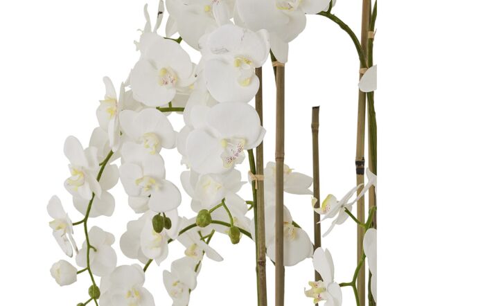 Hill Interiors Large White Orchid in Antique Stone Pot