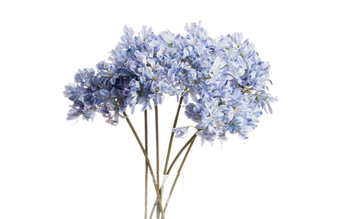 Hill Interiors Coastal Calm Flower Arrangement and Starfish Hurricane