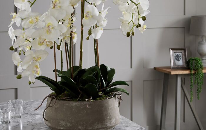 Hill Interiors Large White Orchid in Stone Pot