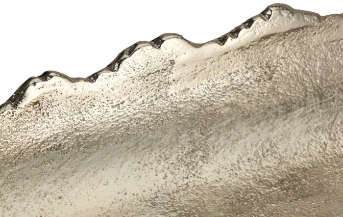 Pacific Lifestyle Champagne Gold Metal Decorative Platter