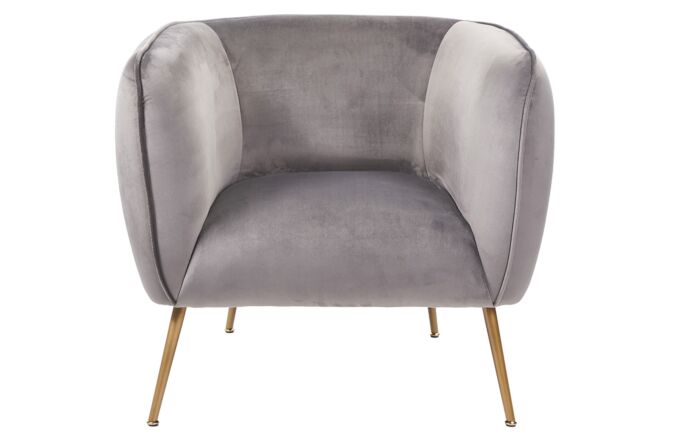 Pacific Lifestyle Lucca Dove Grey Velvet Chair with Gold Legs