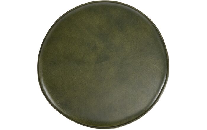 Pacific Lifestyle Donato Sage Green Leather and Iron Stool