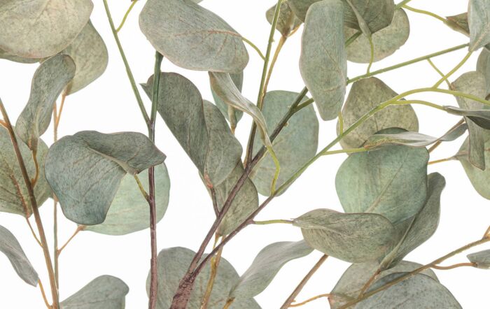 Hill Interiors Eucalyptus Tree In Metallic Pot