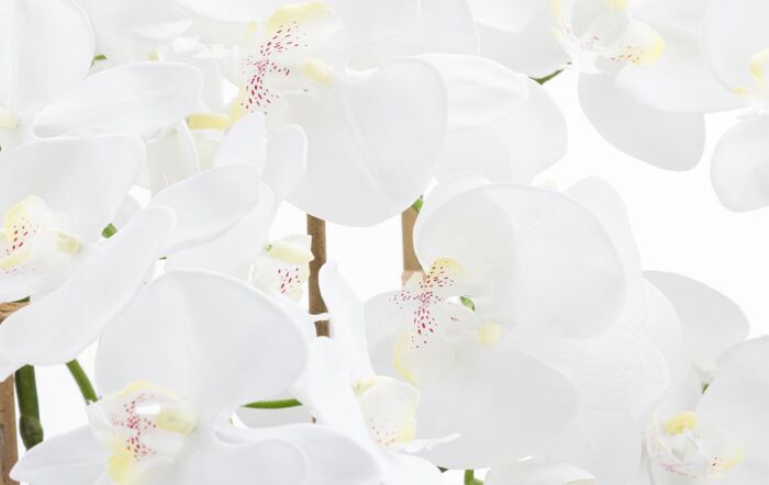 Hill Interiors Large White Tall Orchid in Glass Pot