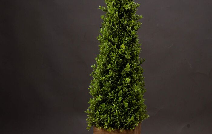 Hill Interiors Large Topiary Pyramid