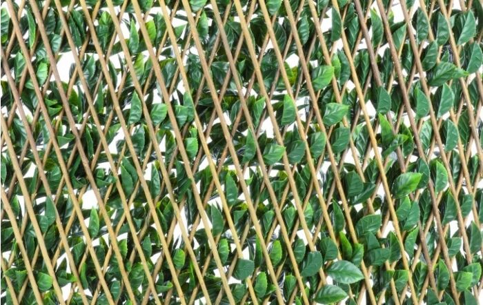 Orange Leaf Trellis Orange Leaf Trellis